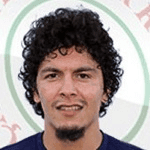 O. Berber