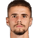 V. Naydenov