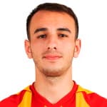 D. Kobesov