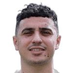 Karim Hafez