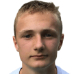 M. Mehl