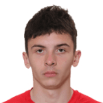 V. Bolotnikov