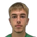P. Petrov