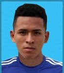 F. Ysique