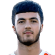 T. Sumbulyan