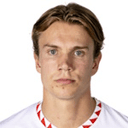 N. Vesterlund