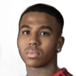 N. Perry