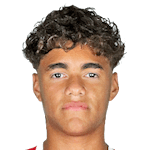 Luis Meneses