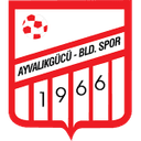 Ayvalikgucu