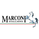 ماركوني ستالونز