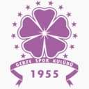Güzide Gebzespor
